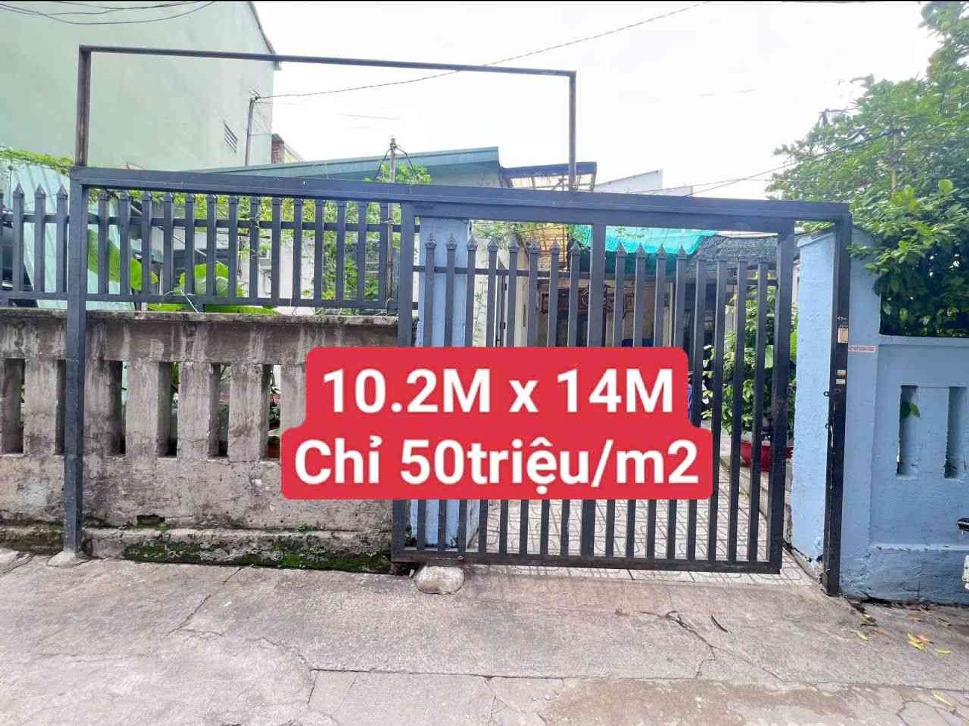 1000003547_1780818817876_f58fb6be